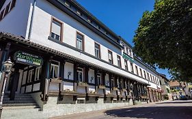 Hotel Grüner Baum